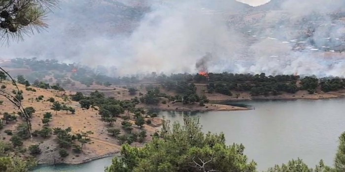 Adıyaman’da ormanlık alanda korkutan yangın